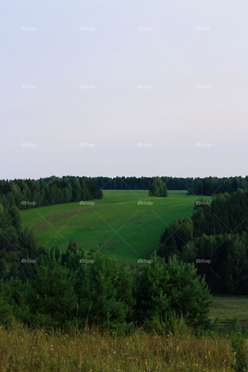 Russian fields