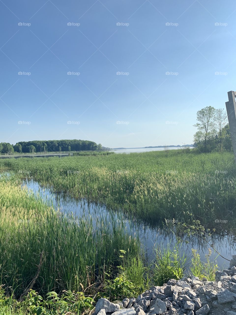 Trail side views of Georgian Bay 