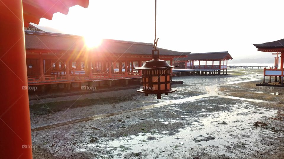 Itsukushima Shrine at low tide