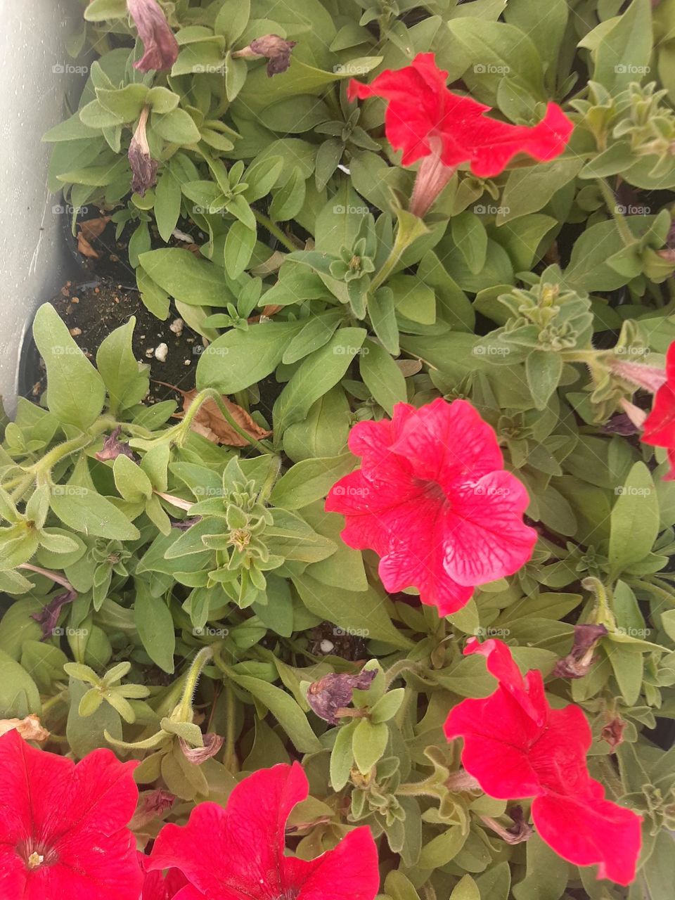 Please make me happy, I am poor, I need your help with support