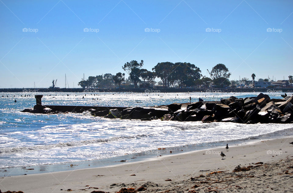 surfing, California