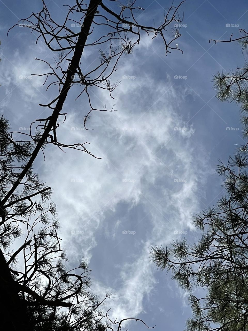 Sky’s angelic messages 