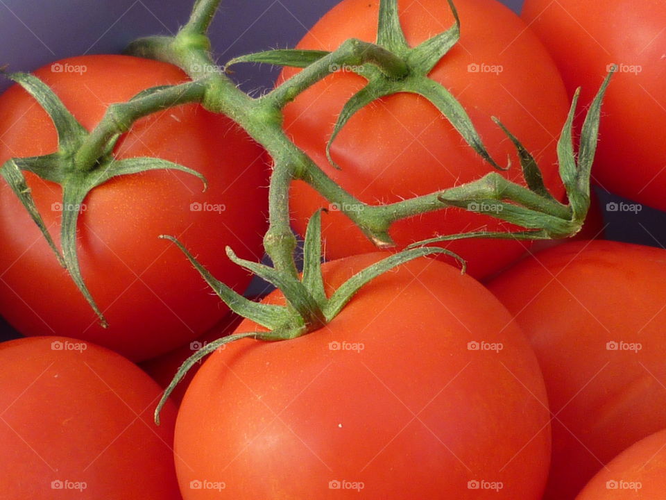 Tomatoes!
