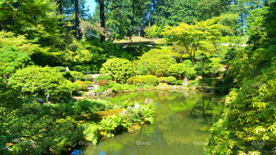 An emerald pond glistening in the sunlight.