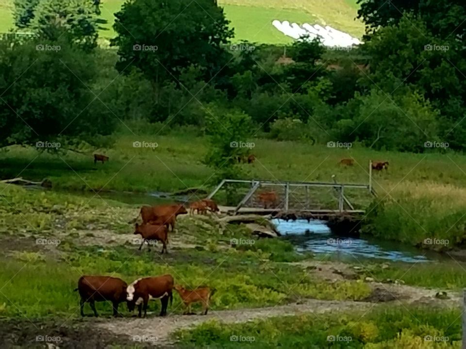 Driving the Back Roads and enjoying everything around us