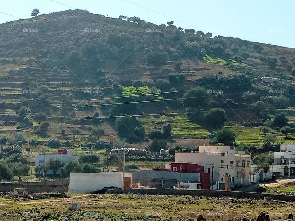 population between the nature