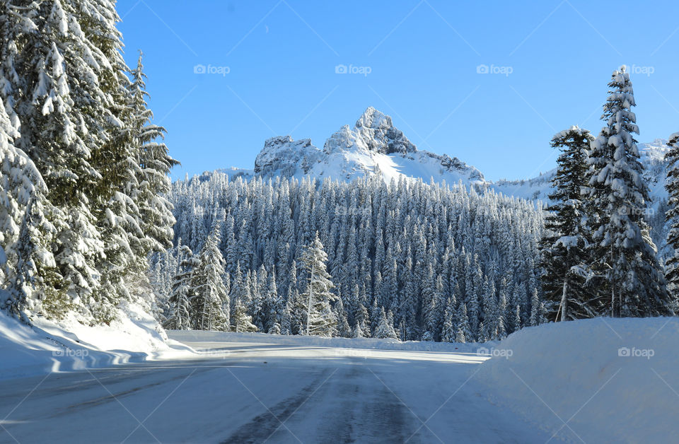 Snowy road at Mount Rainier