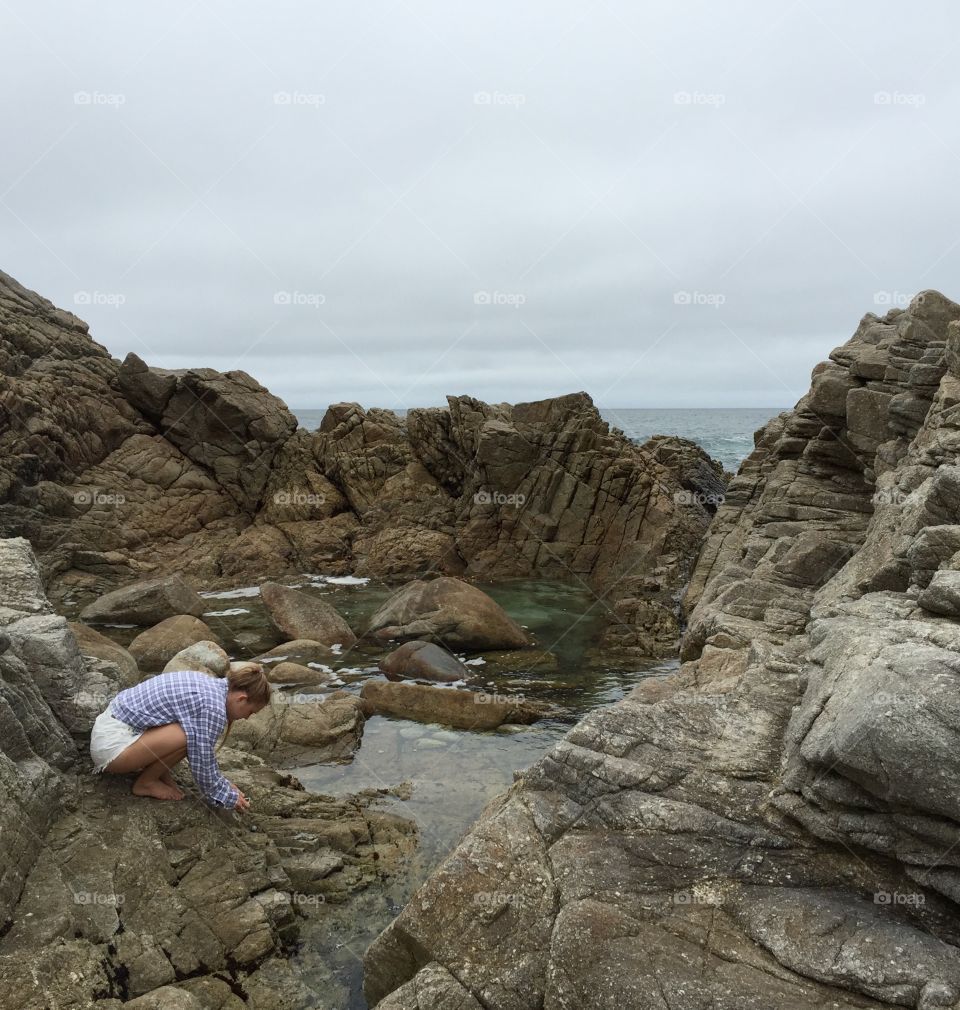 Pebble Beach, 17-Mile Drive 
Monterey and Carmel, California