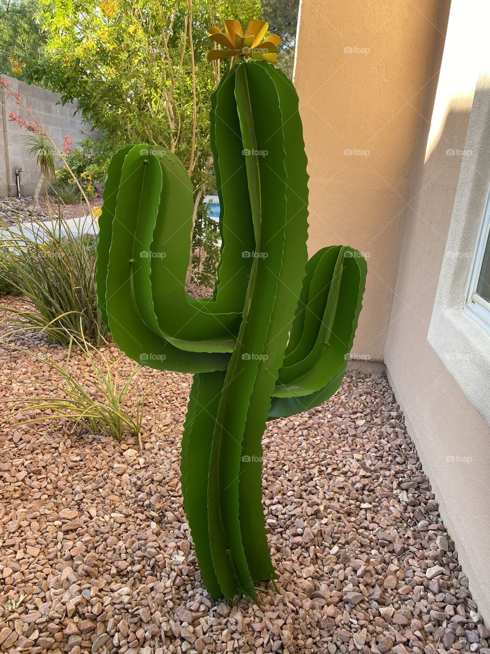 Cactus art
