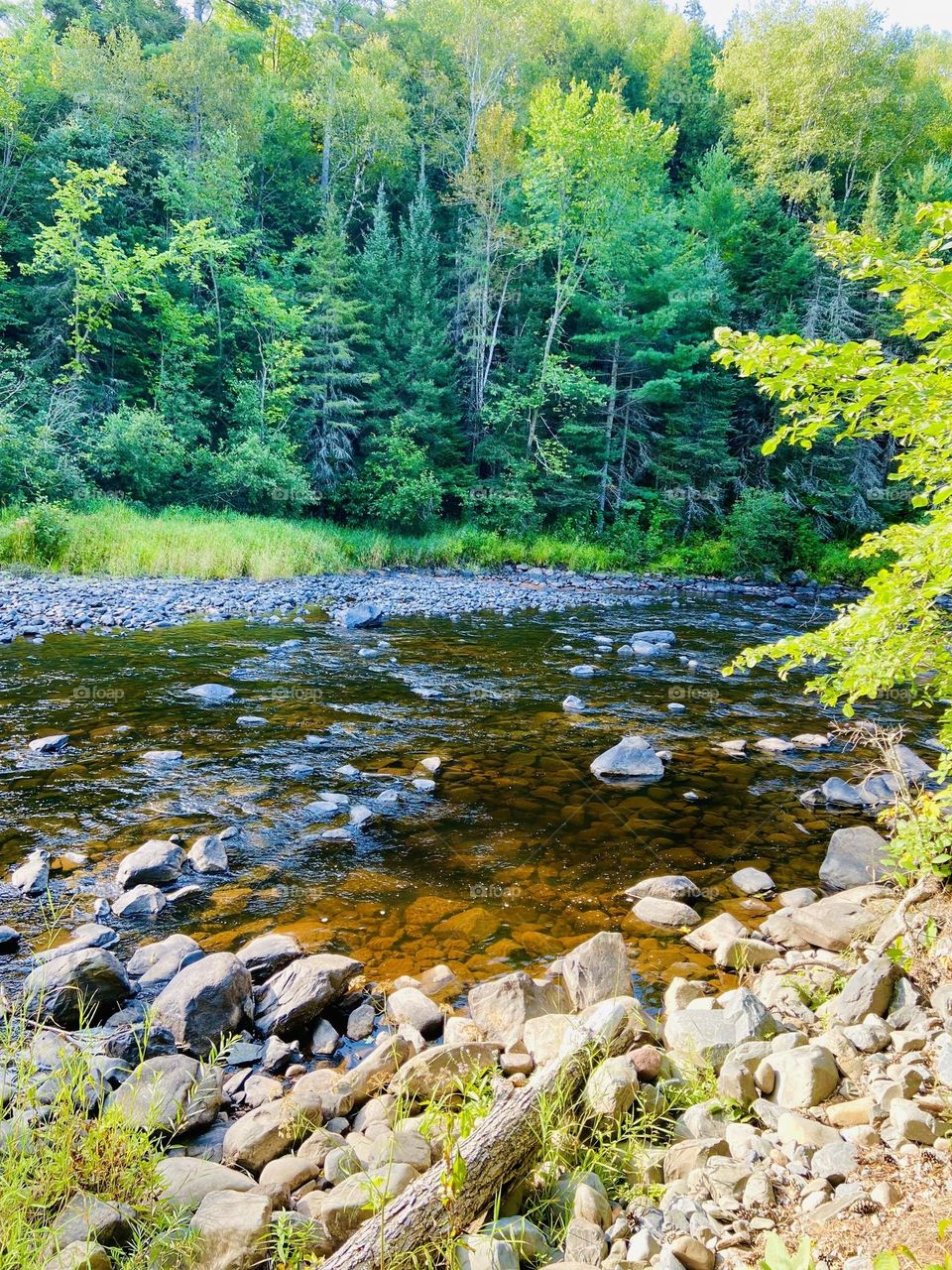 Surgeon River in the Upper Peninsula of Michigan