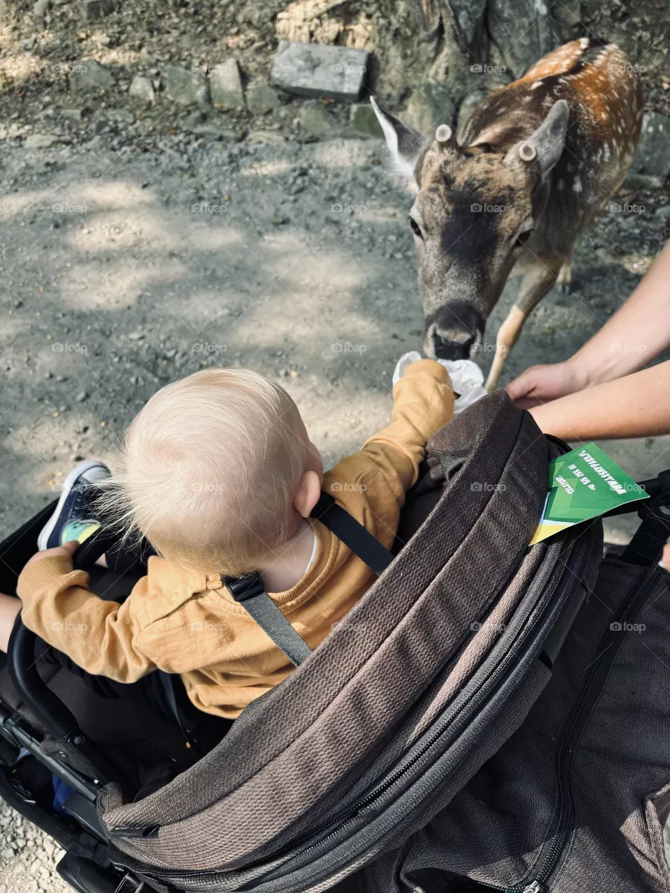 Zoo