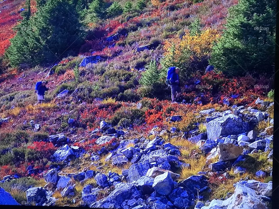 Washington Autumn Park 