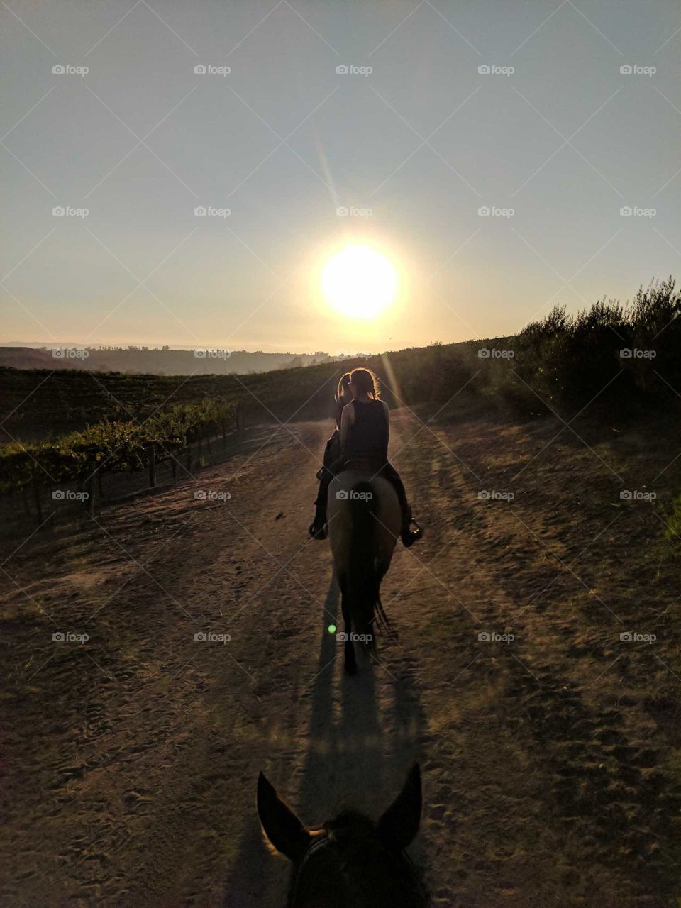 riding into the sunset