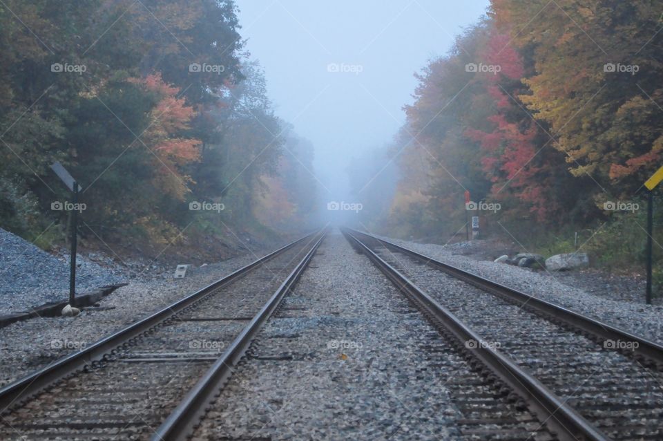 Foggy rails