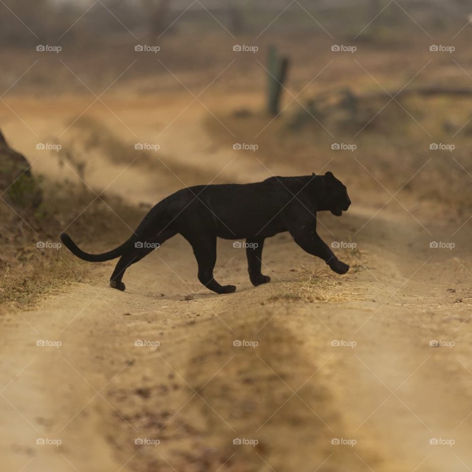 When the DARK LORD appears! ❤️