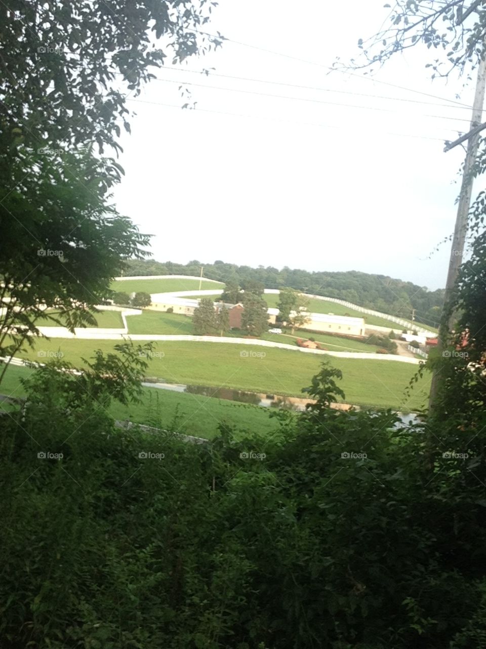 Picture of a Horse Farm