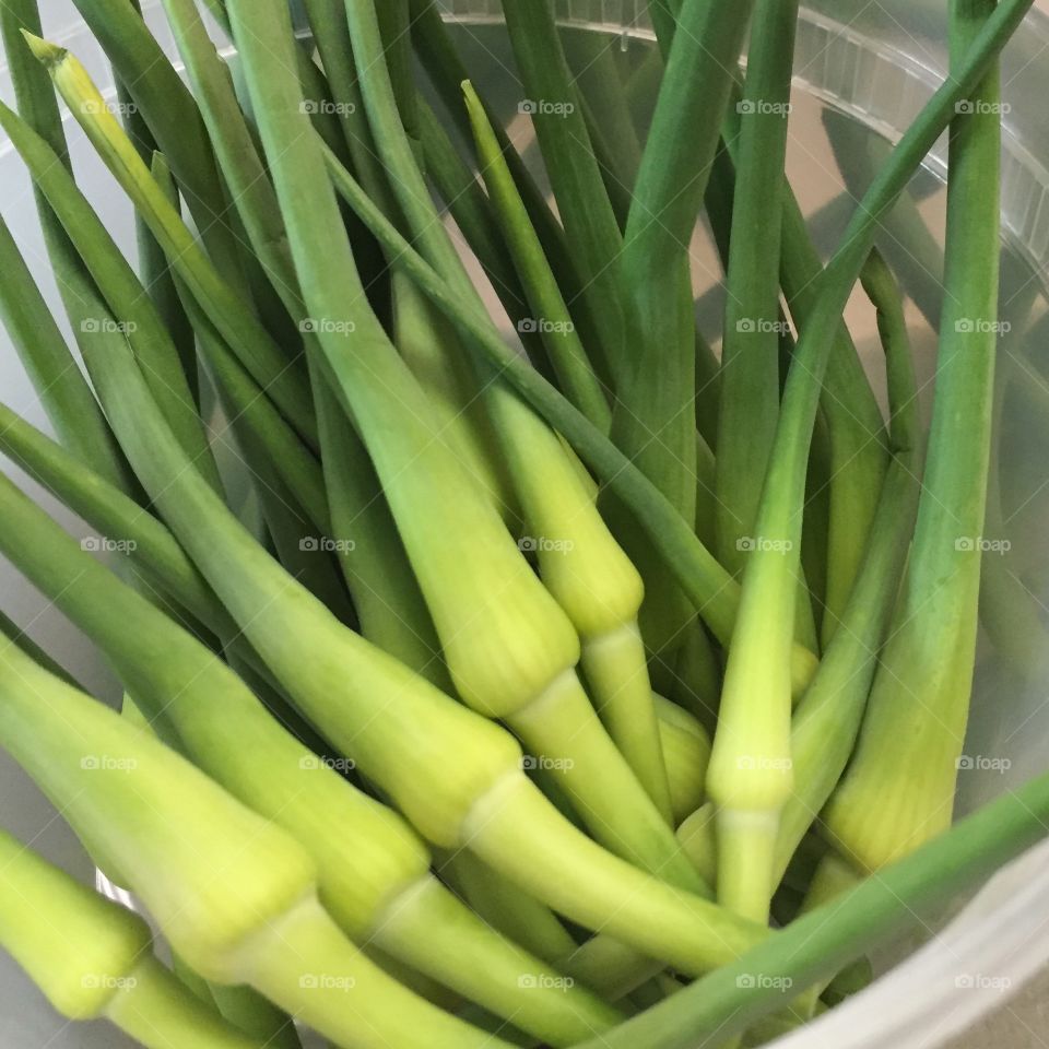Garlic scapes