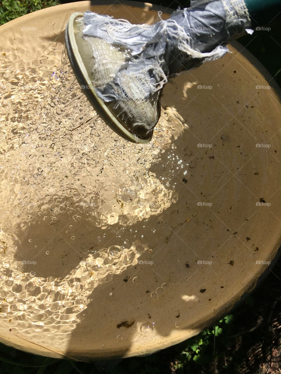 Filling birdbath with old watering can🚿