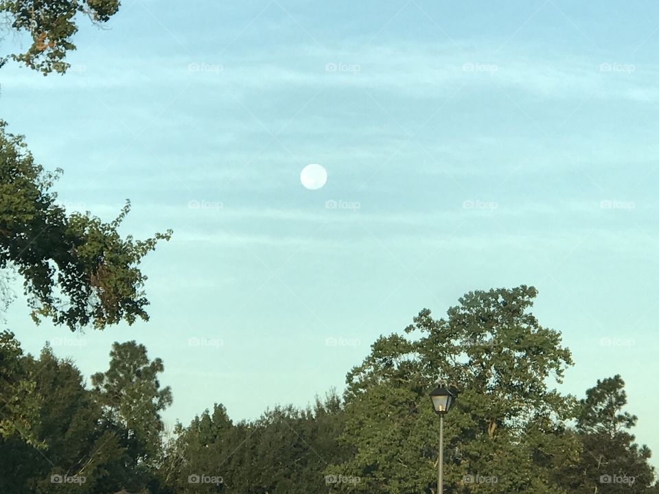 A big full moon takes over the daylight sky on this clear day. Nature’s daily beauty never ceases to amaze!!