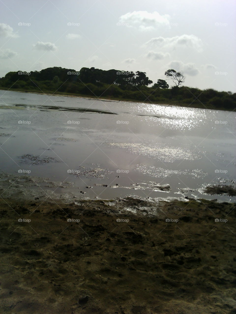 ,Yala National park in Srka.