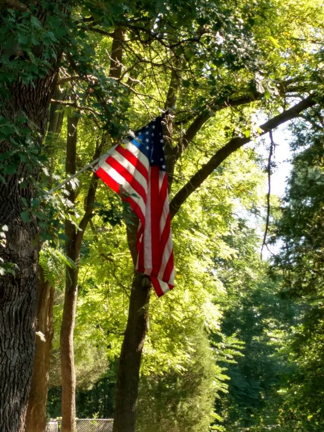 American proud