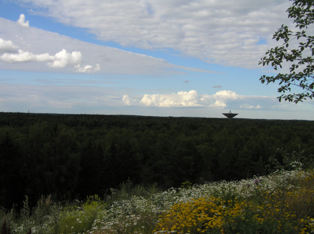 kungsängen sky flowers nature by MagnusPm