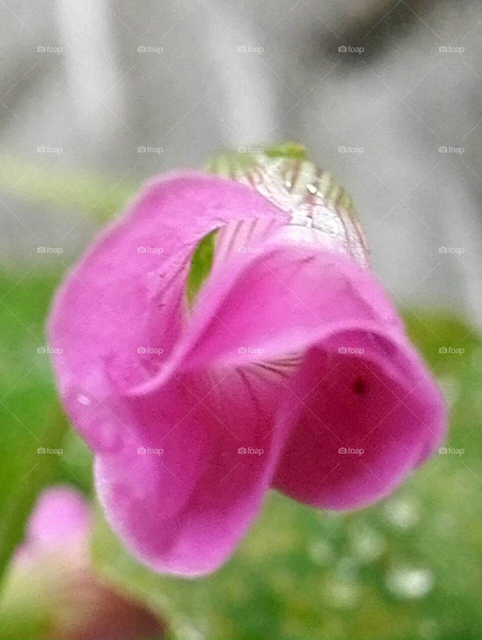 Melting into the air