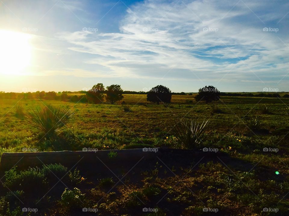 High plains beauty