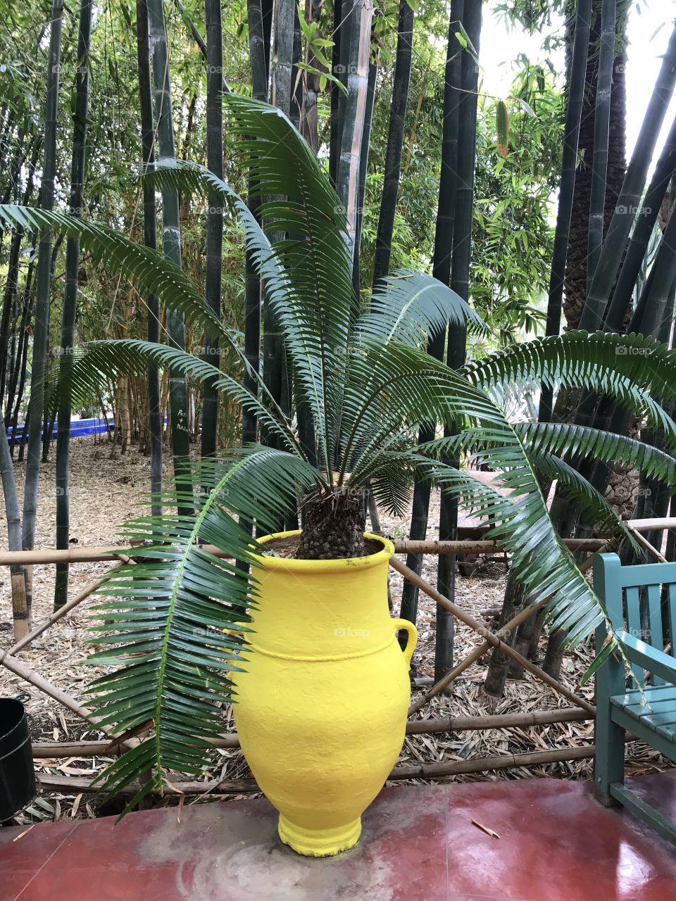 Garden Majorele, Marrakech 