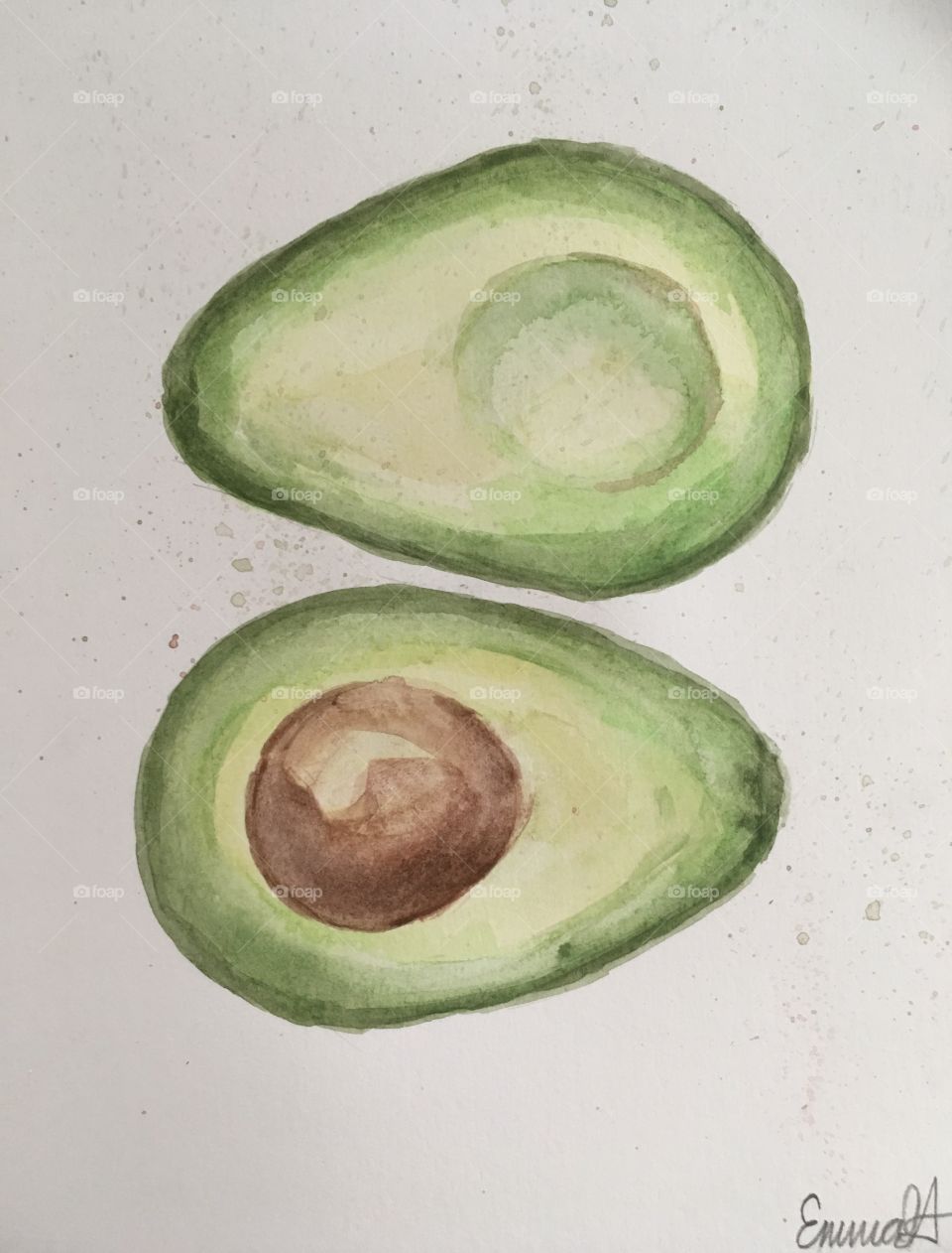Avocado watercolor