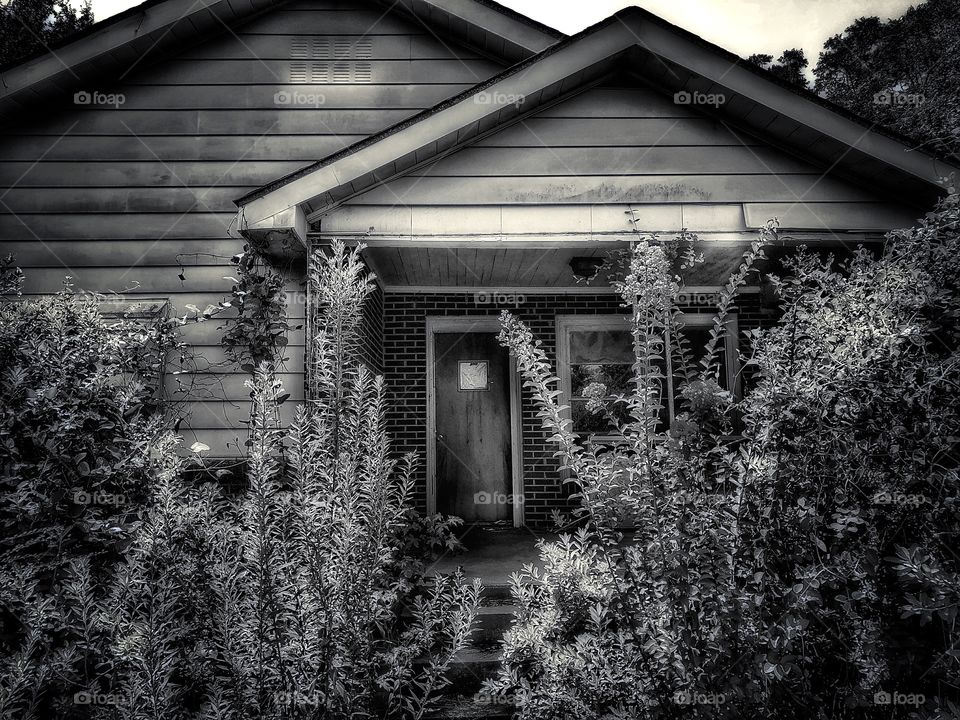 Abandoned and Overgrown 