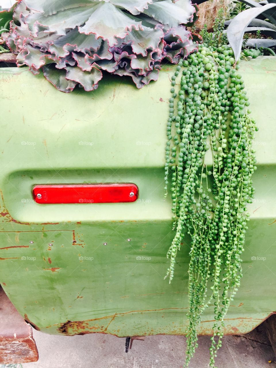 Green Color Story - right rear panel of a pickup truck being used as a planter