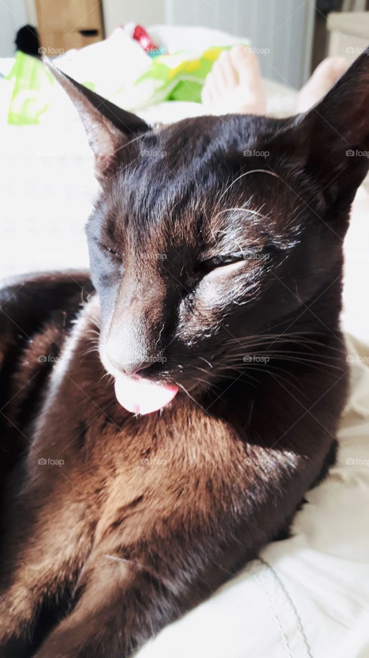 Ewwww didn’t like that tase !!!