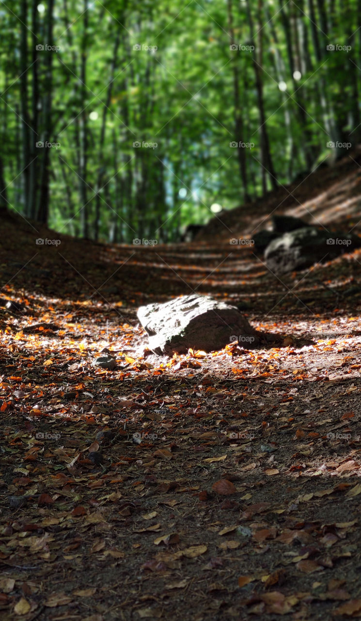 First steps into autumn