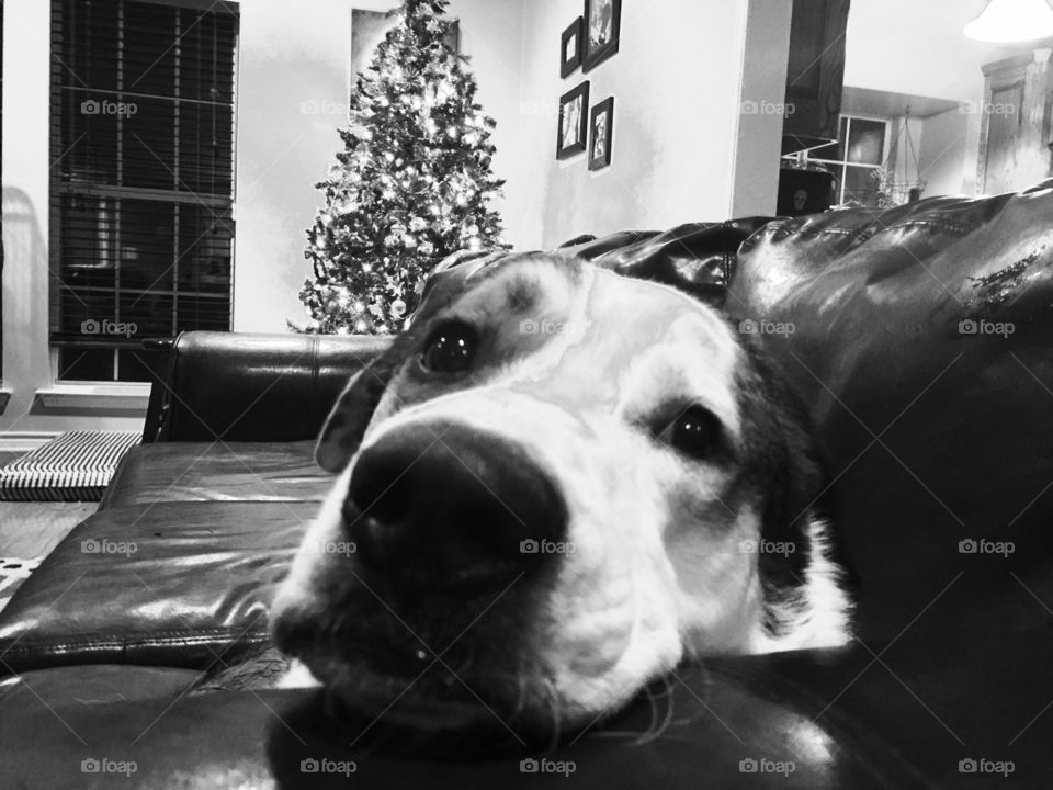 Waiting for Christmas