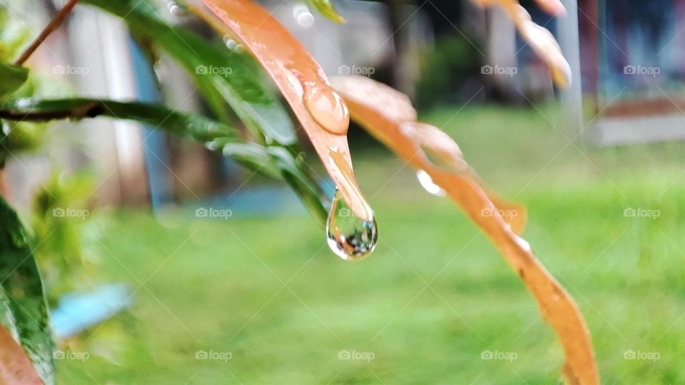 Water Droplets
