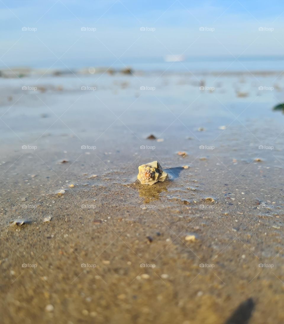 Beach walk 🌞🐚🫧