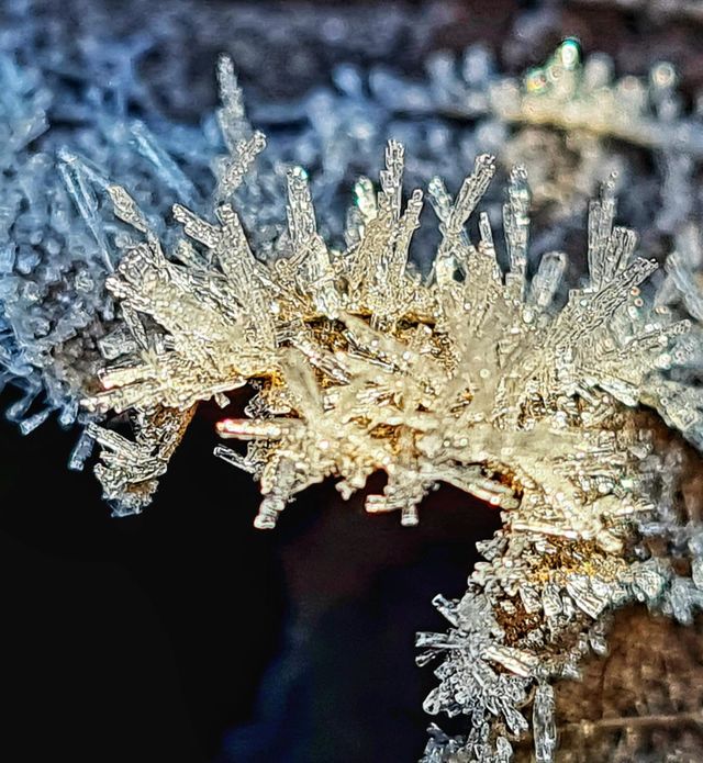 Frosty