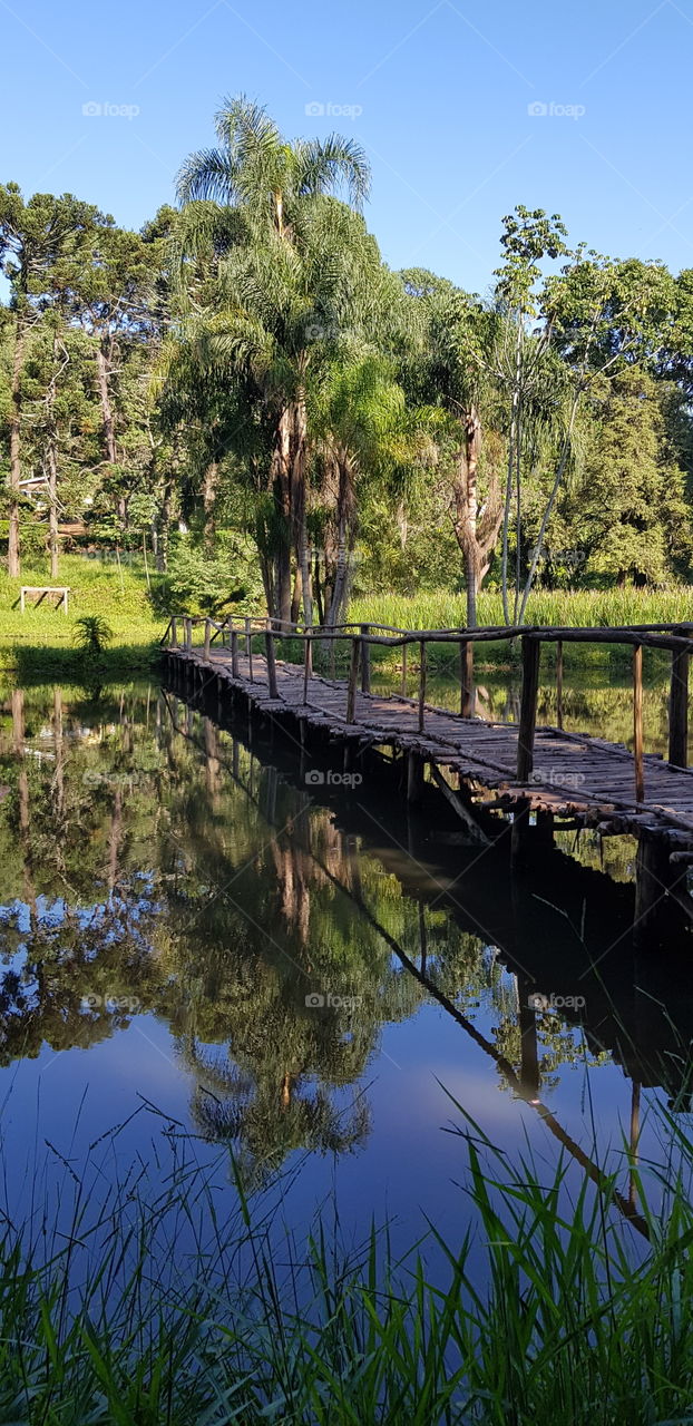 Reserva Serra do Japi - Jundiaí- SP