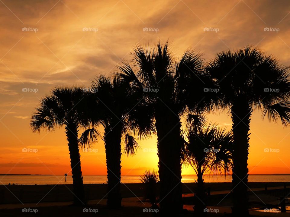 Palm Tree silhouettes over a beautiful tropical beach sunset during a descending sun