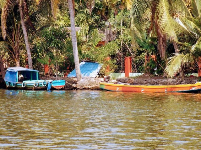 boats
