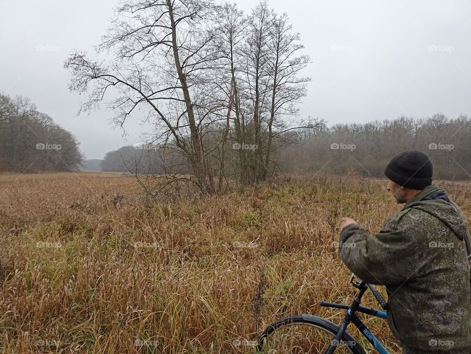In the autumn forest
