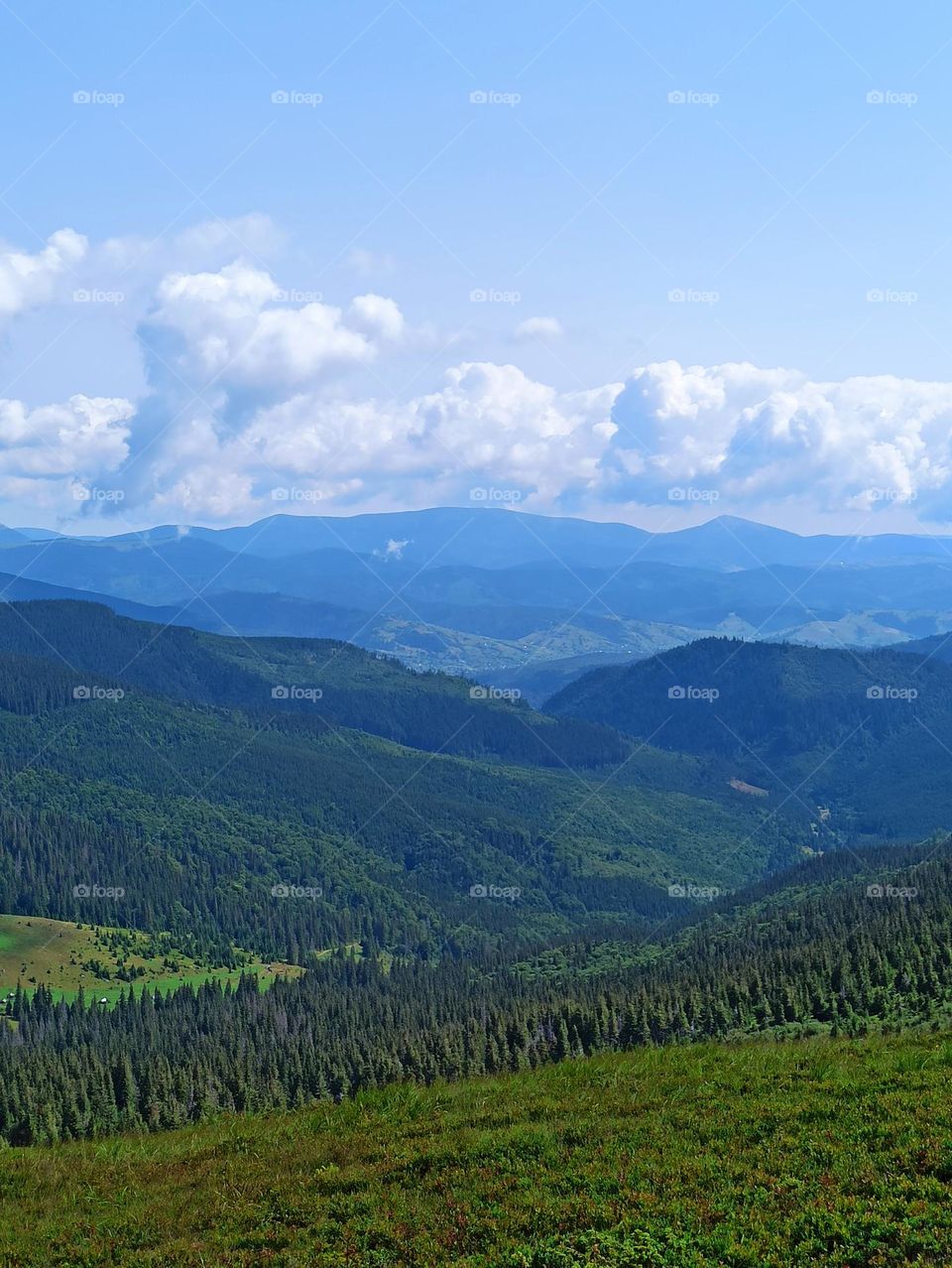 Your favourite travel destination
My beloved Carpathians. Green flower meadows. Cows with bells around their necks. Unforgettable trip across Ukraine. Mountains Dragobrat. Magnificent nature.