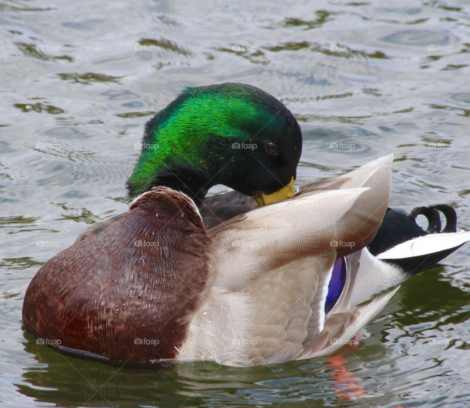 Beautiful macro shots