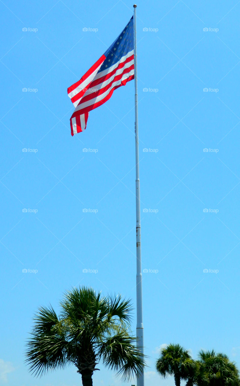 The American Color Palette: Red - a symbol of valor, White - a symbol of purity and innocence, and Blue - s symbol of vigilance, perseverance, and justice!