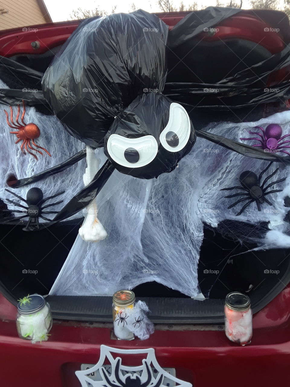 Trunk or Treat Spider Web
