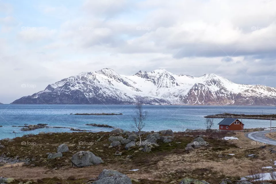 Landscape 