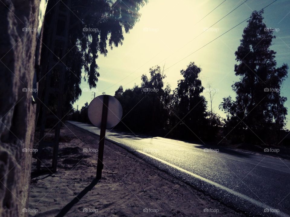desert🏜 road
