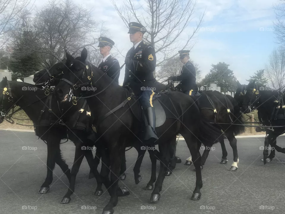 Arlington Cemetery 