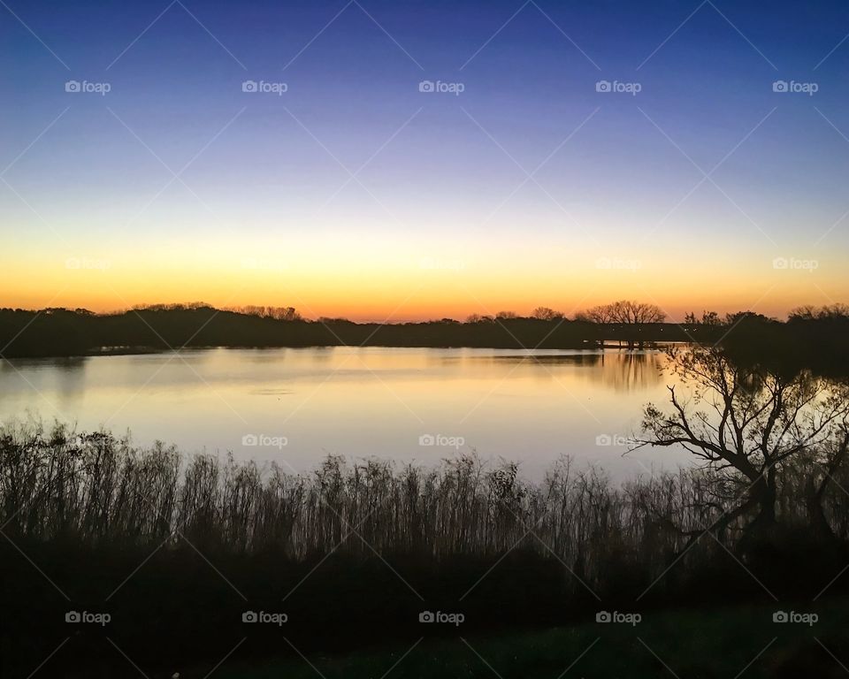 You'll Be the Death of My Sorrows